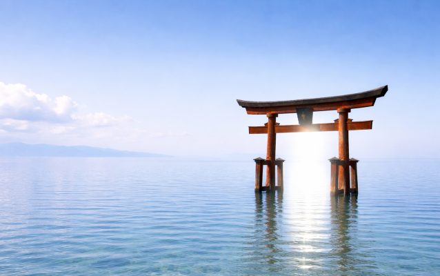 Etapele cunoașterii conștiente